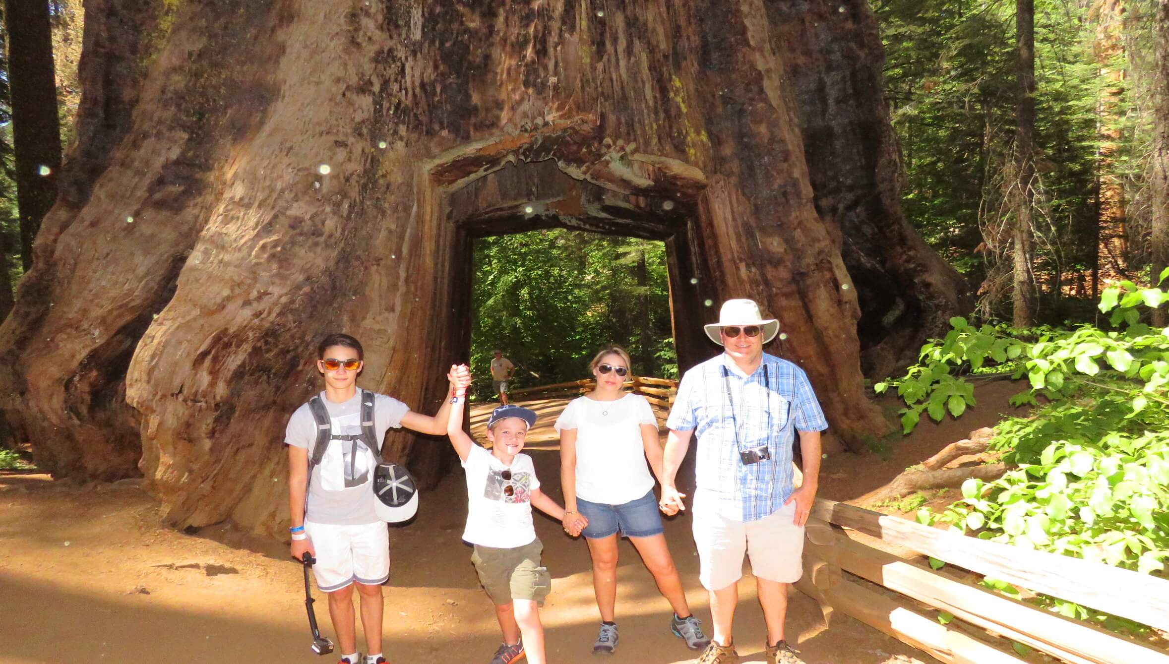 Yosemite Giant Sequoias Trail.JPG